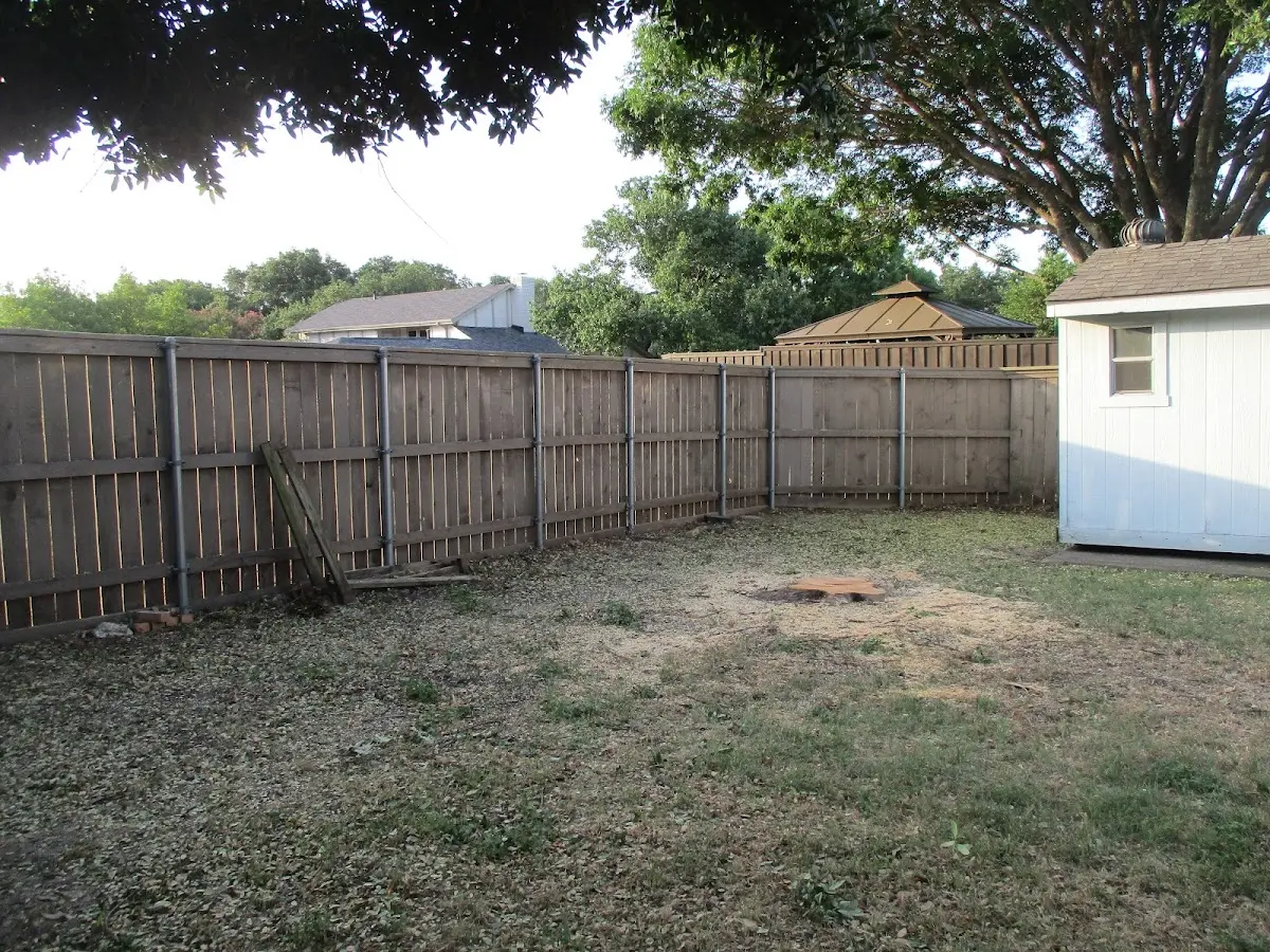 Cleared yard after professional tree removal in Swan Valley